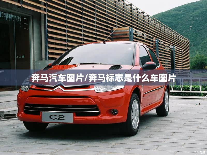 奔马汽车图片/奔马标志是什么车图片