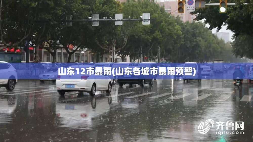 山东12市暴雨(山东各城市暴雨预警)