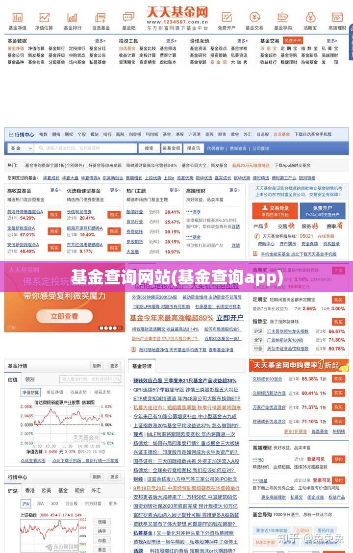 基金查询网站(基金查询app)
