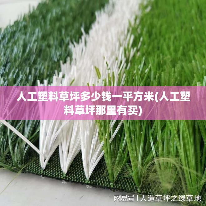 人工塑料草坪多少钱一平方米(人工塑料草坪那里有买)