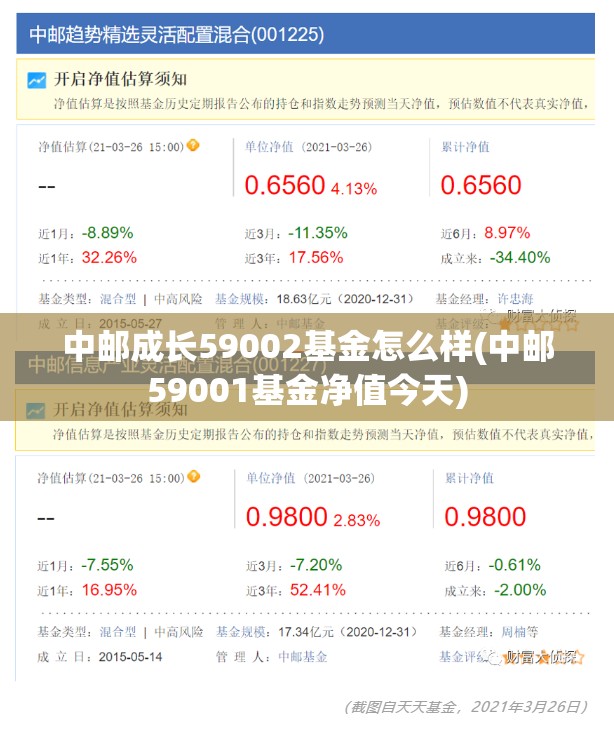 中邮成长59002基金怎么样(中邮59001基金净值今天) 中邮成长59002基金怎么样(中邮59001基金净值今天)