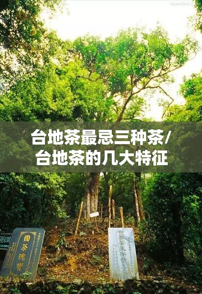 台地茶最忌三种茶/台地茶的几大特征 台地茶最忌三种茶/台地茶的几大特征