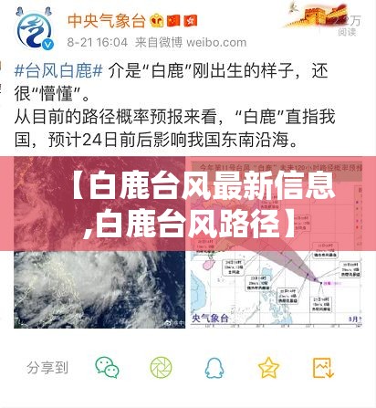 【白鹿台风最新信息,白鹿台风路径】 【白鹿台风最新信息,白鹿台风路径】