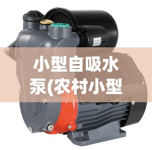 小型自吸水泵(农村小型自吸水泵) 小型自吸水泵(农村小型自吸水泵)