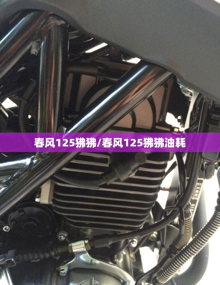 春风125狒狒/春风125狒狒油耗 春风125狒狒/春风125狒狒油耗