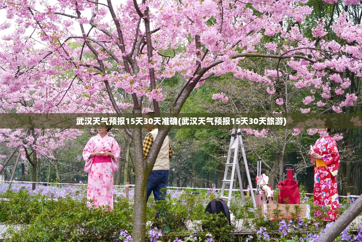 武汉天气预报15天30天准确(武汉天气预报15天30天旅游) 武汉天气预报15天30天准确(武汉天气预报15天30天旅游)