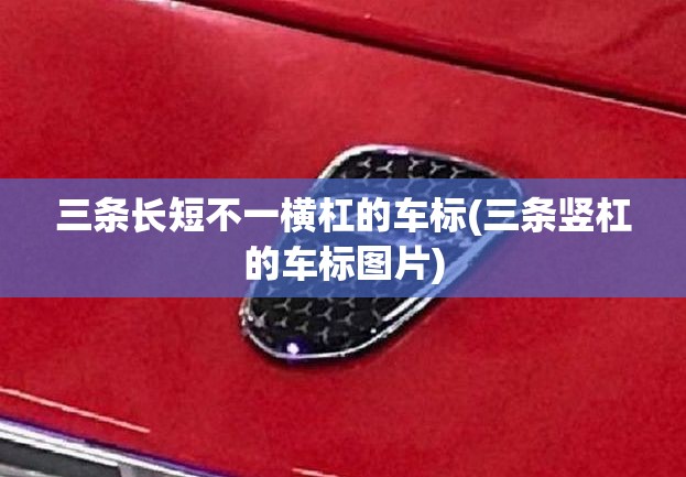 三条长短不一横杠的车标(三条竖杠的车标图片) 三条长短不一横杠的车标(三条竖杠的车标图片)