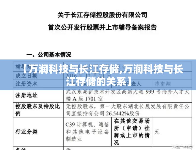 【万润科技与长江存储,万润科技与长江存储的关系】