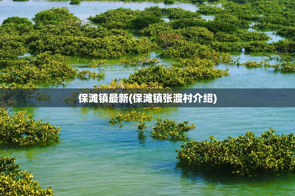 保滩镇最新(保滩镇张渡村介绍) 保滩镇最新(保滩镇张渡村介绍)