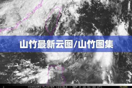 山竹最新云图/山竹图集 山竹最新云图/山竹图集