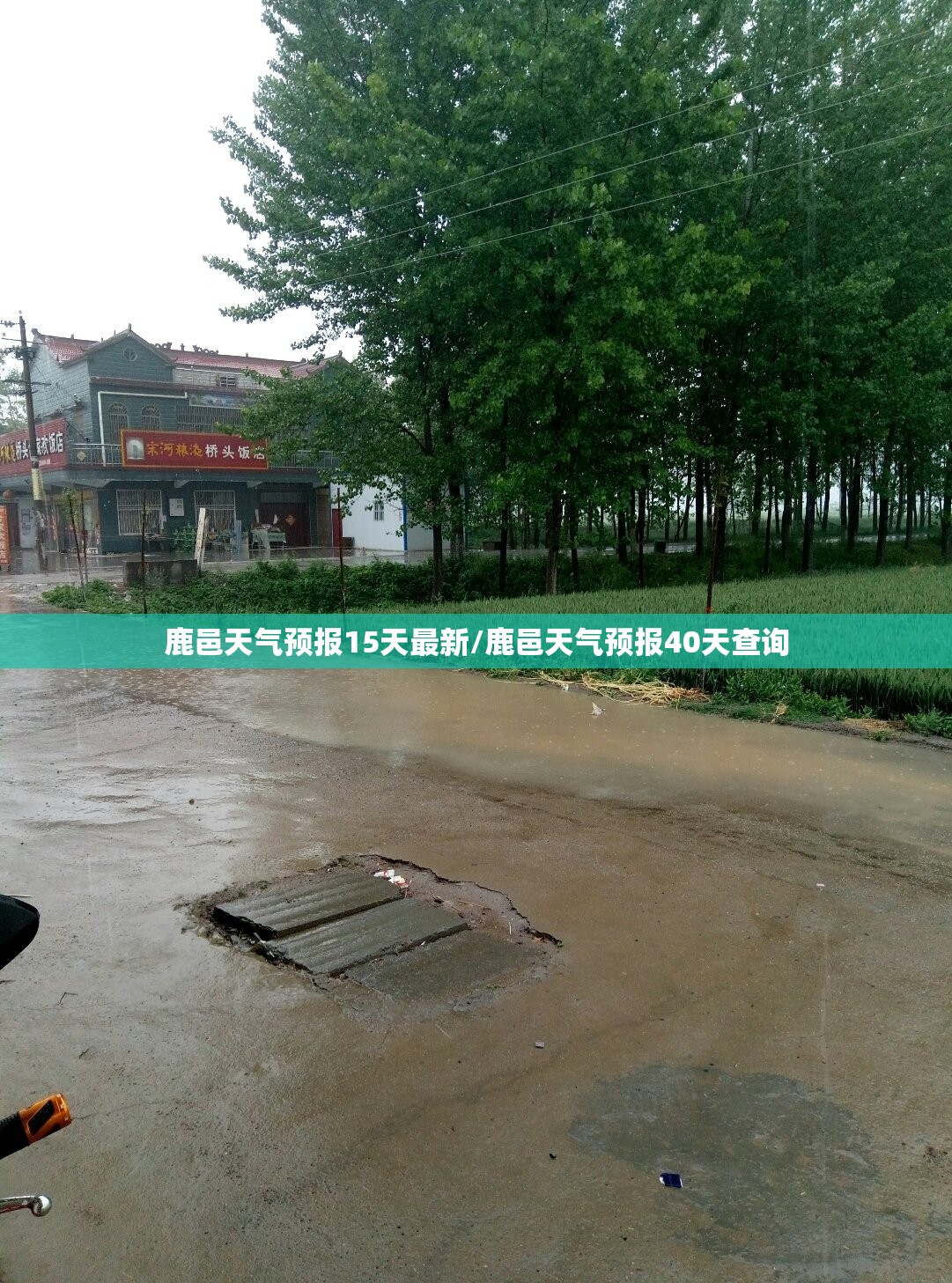 鹿邑天气预报15天最新/鹿邑天气预报40天查询 鹿邑天气预报15天最新/鹿邑天气预报40天查询