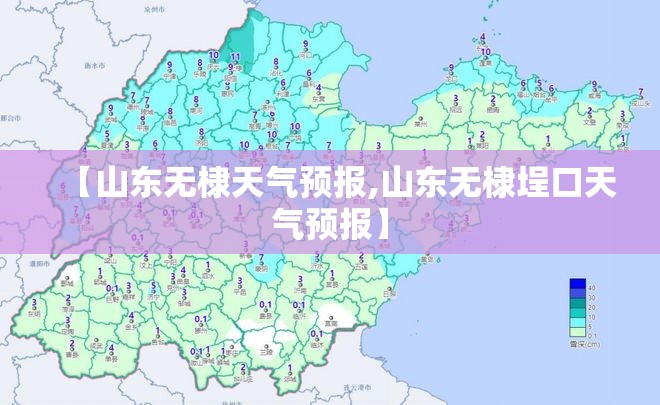 【山东无棣天气预报,山东无棣埕口天气预报】 【山东无棣天气预报,山东无棣埕口天气预报】