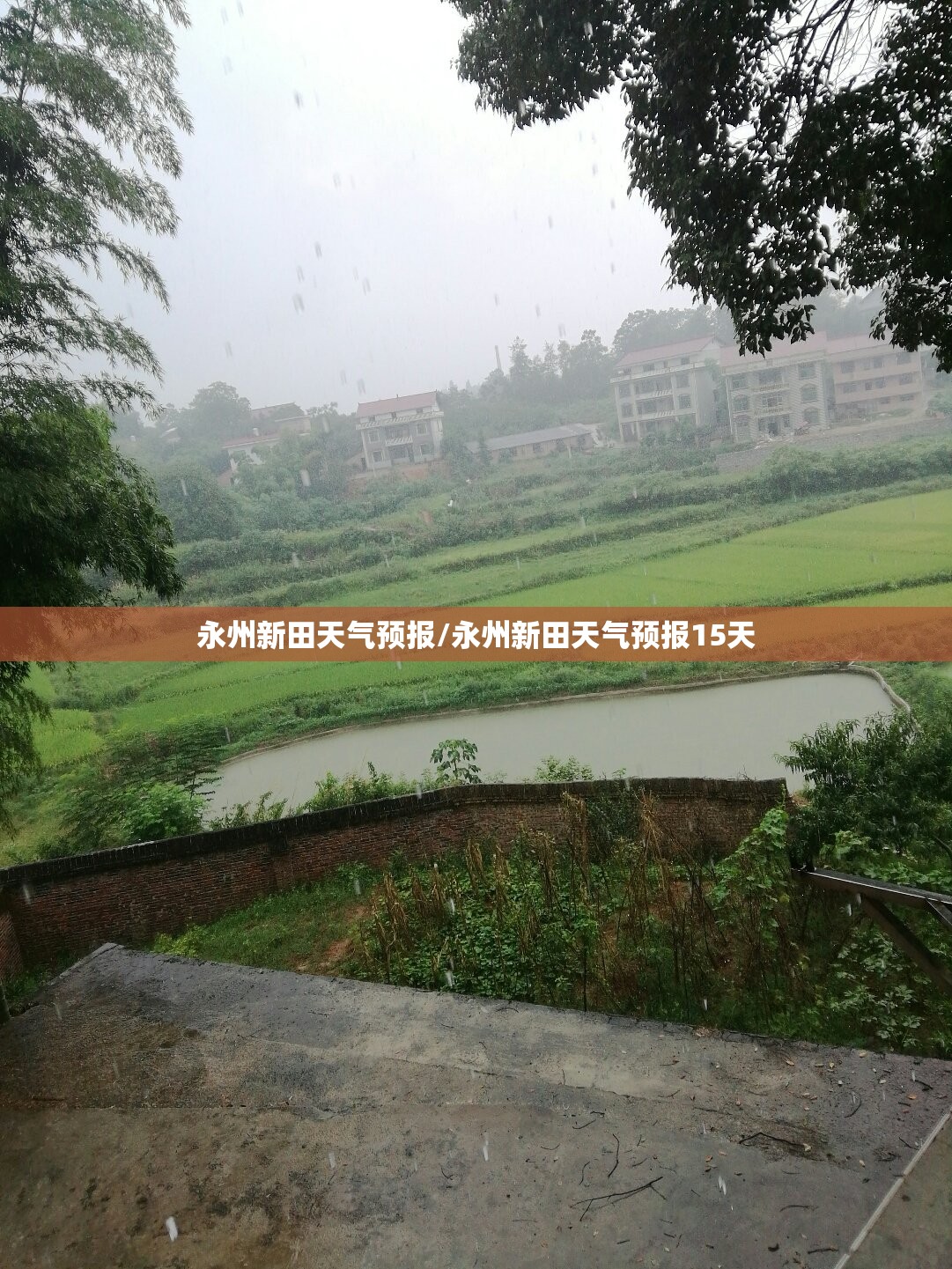 永州新田天气预报/永州新田天气预报15天 永州新田天气预报/永州新田天气预报15天