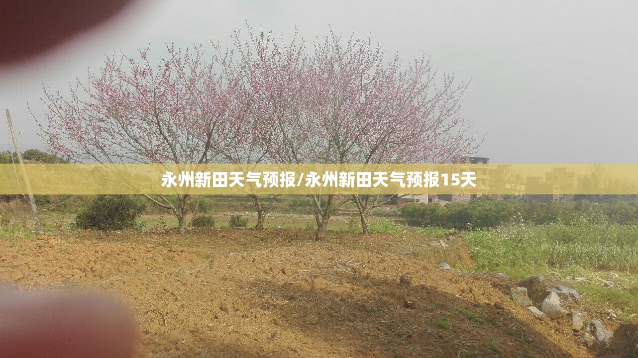 永州新田天气预报/永州新田天气预报15天 永州新田天气预报/永州新田天气预报15天