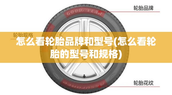 怎么看轮胎品牌和型号(怎么看轮胎的型号和规格) 怎么看轮胎品牌和型号(怎么看轮胎的型号和规格)