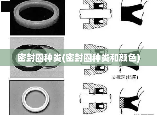 密封圈种类(密封圈种类和颜色) 密封圈种类(密封圈种类和颜色)