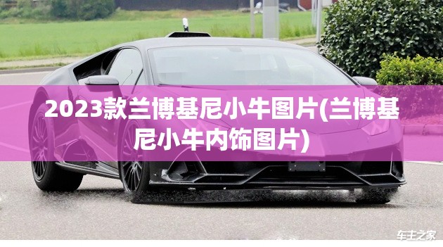2023款兰博基尼小牛图片(兰博基尼小牛内饰图片)