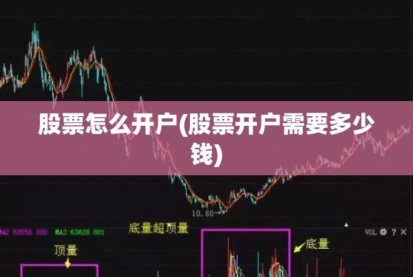 股票怎么开户(股票开户需要多少钱) 股票怎么开户(股票开户需要多少钱)