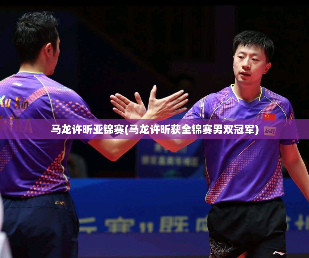 马龙许昕亚锦赛(马龙许昕获全锦赛男双冠军) 马龙许昕亚锦赛(马龙许昕获全锦赛男双冠军)