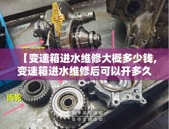 【变速箱进水维修大概多少钱,变速箱进水维修后可以开多久】