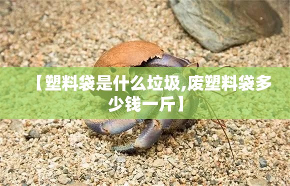 【塑料袋是什么垃圾,废塑料袋多少钱一斤】 【塑料袋是什么垃圾,废塑料袋多少钱一斤】