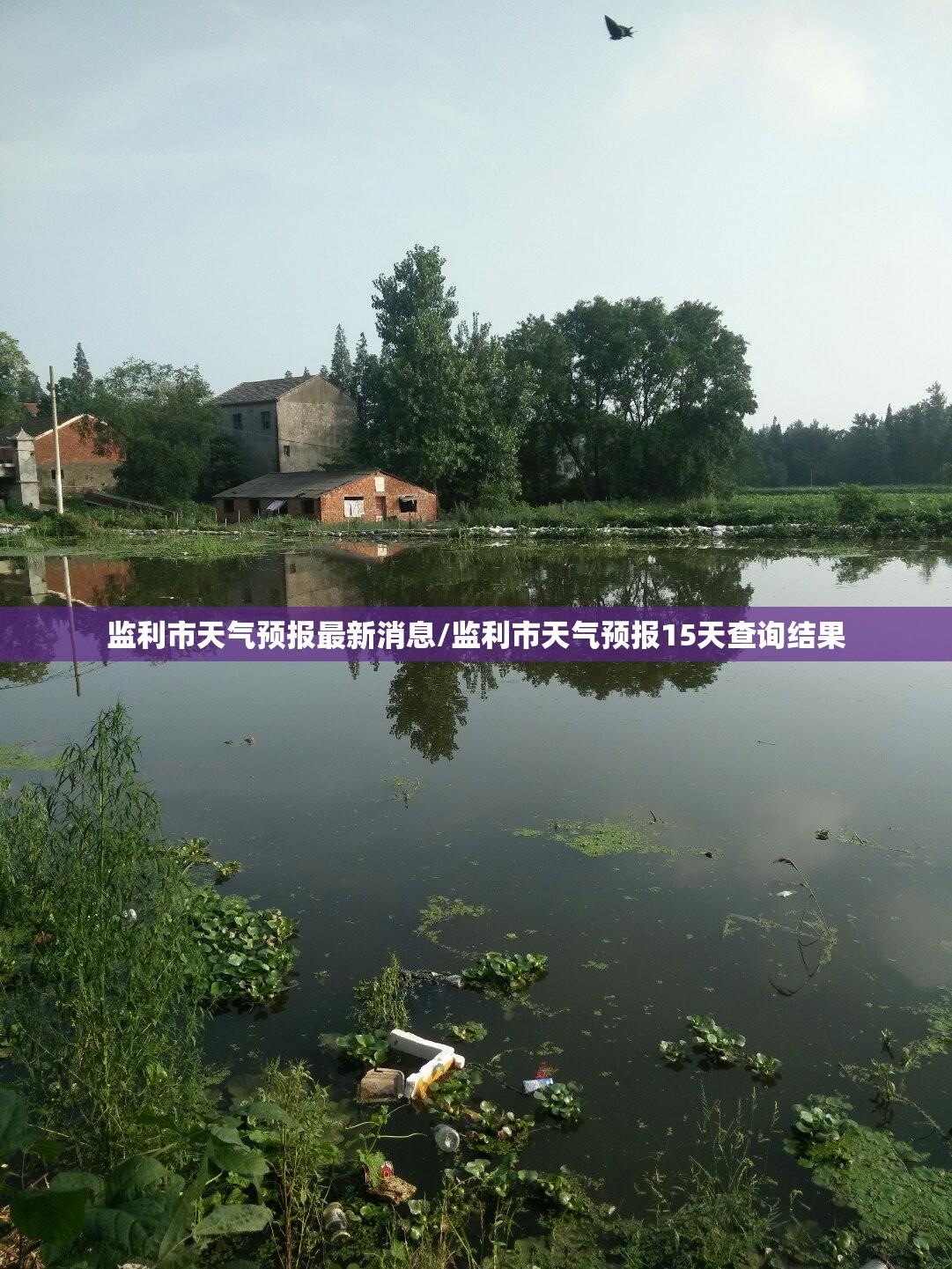 监利市天气预报最新消息/监利市天气预报15天查询结果 监利市天气预报最新消息/监利市天气预报15天查询结果