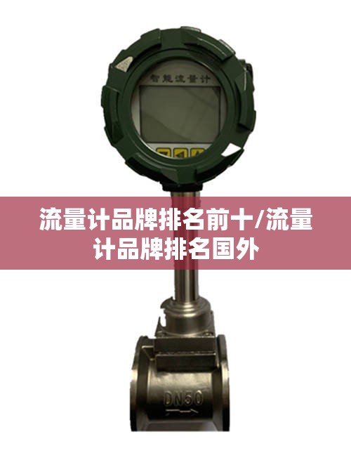 流量计品牌排名前十/流量计品牌排名国外 流量计品牌排名前十/流量计品牌排名国外