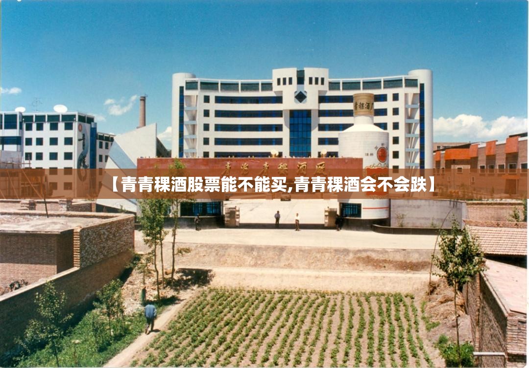 【青青稞酒股票能不能买,青青稞酒会不会跌】