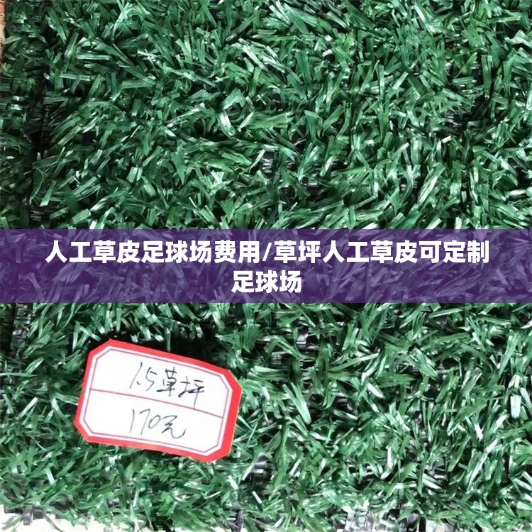 人工草皮足球场费用/草坪人工草皮可定制足球场