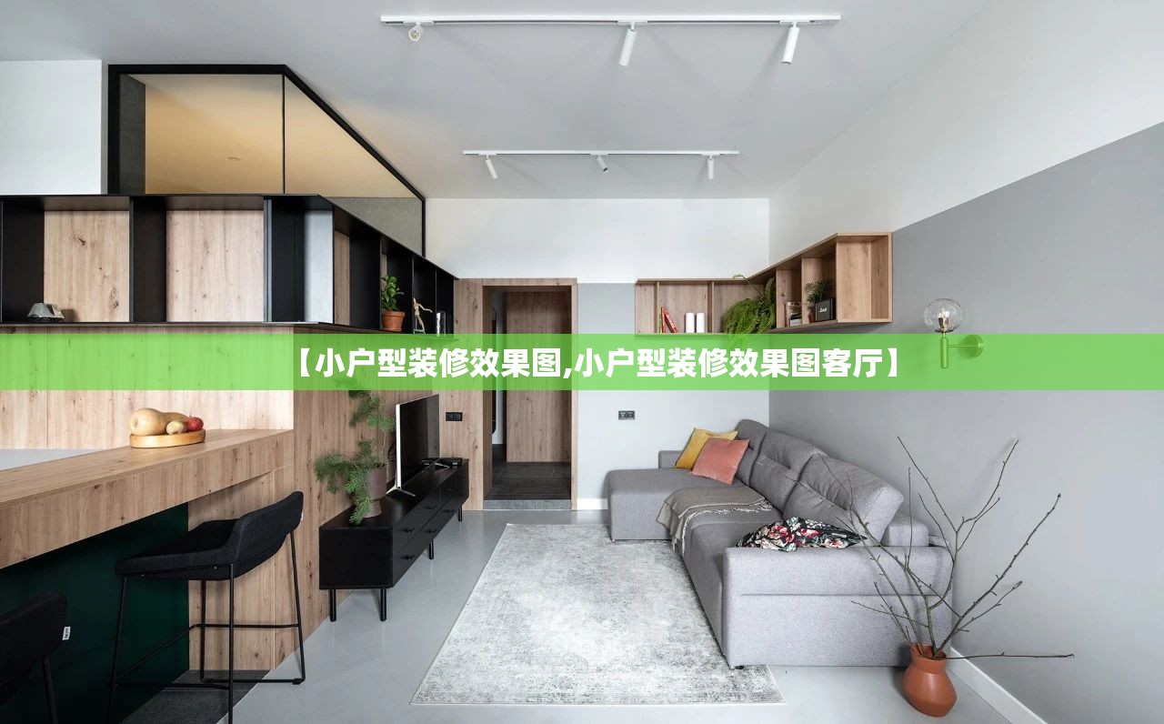 【小户型装修效果图,小户型装修效果图客厅】 【小户型装修效果图,小户型装修效果图客厅】