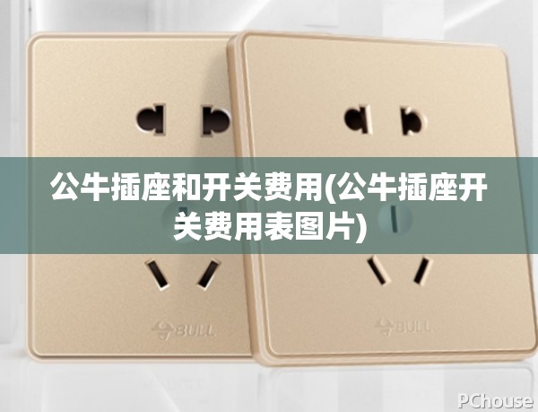 公牛插座和开关费用(公牛插座开关费用表图片)
