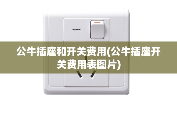公牛插座和开关费用(公牛插座开关费用表图片)