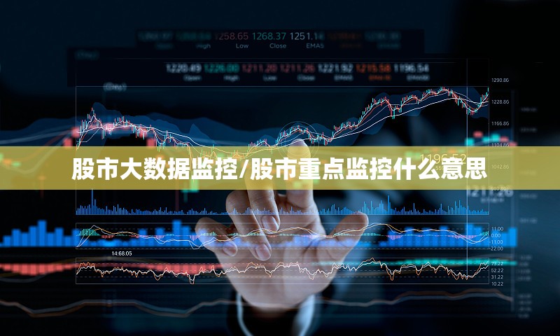 股市大数据监控/股市重点监控什么意思 股市大数据监控/股市重点监控什么意思
