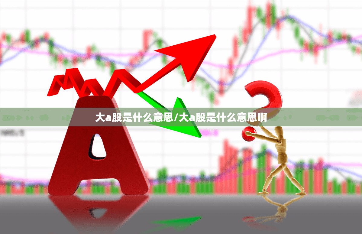 大a股是什么意思/大a股是什么意思啊