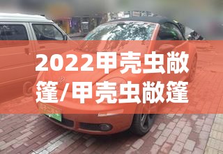 2022甲壳虫敞篷/甲壳虫敞篷3万 2022甲壳虫敞篷/甲壳虫敞篷3万