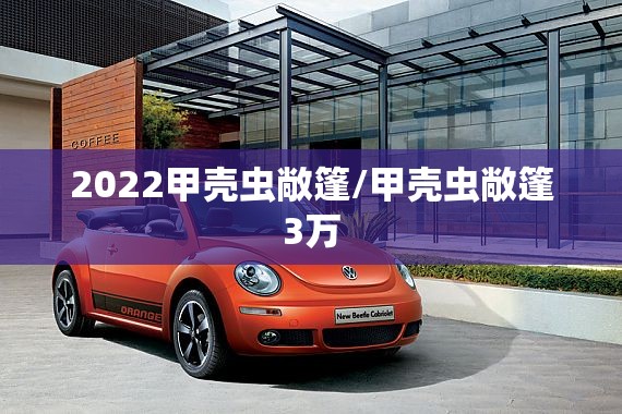 2022甲壳虫敞篷/甲壳虫敞篷3万 2022甲壳虫敞篷/甲壳虫敞篷3万