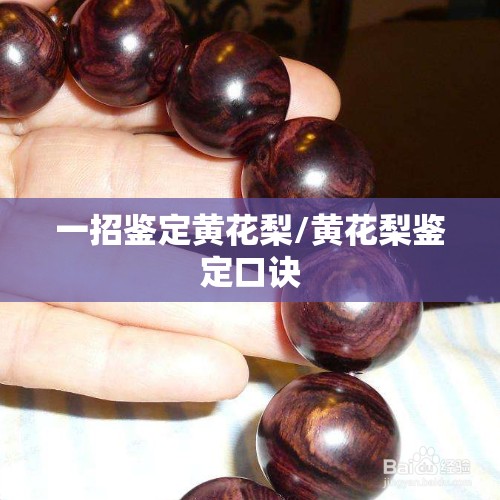 一招鉴定黄花梨/黄花梨鉴定口诀