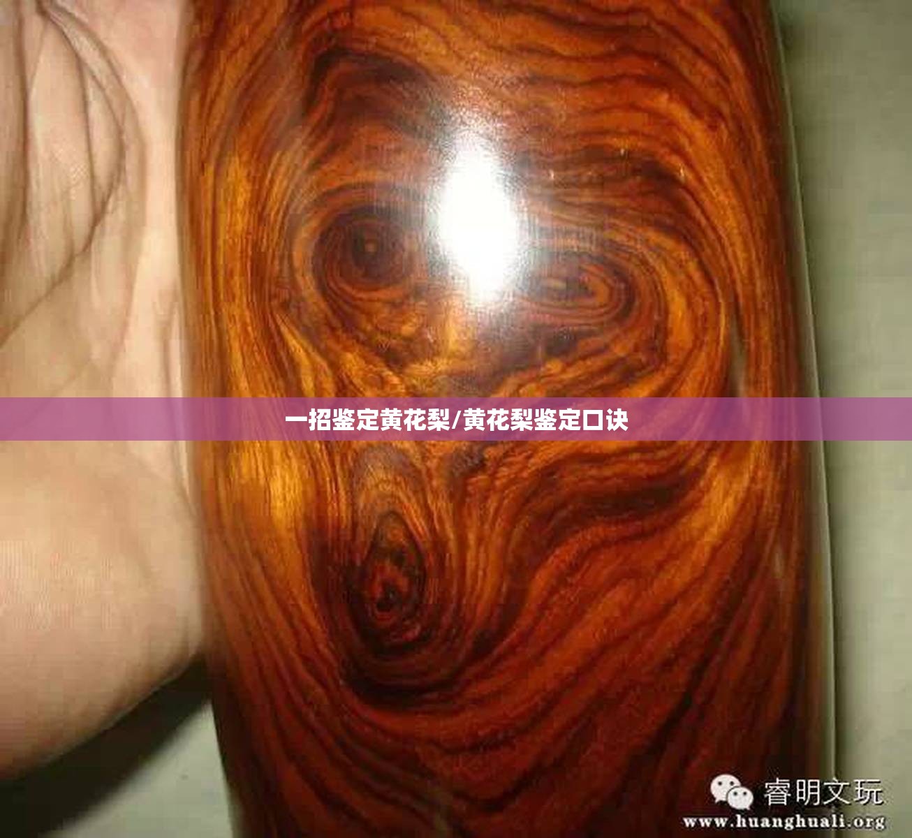 一招鉴定黄花梨/黄花梨鉴定口诀