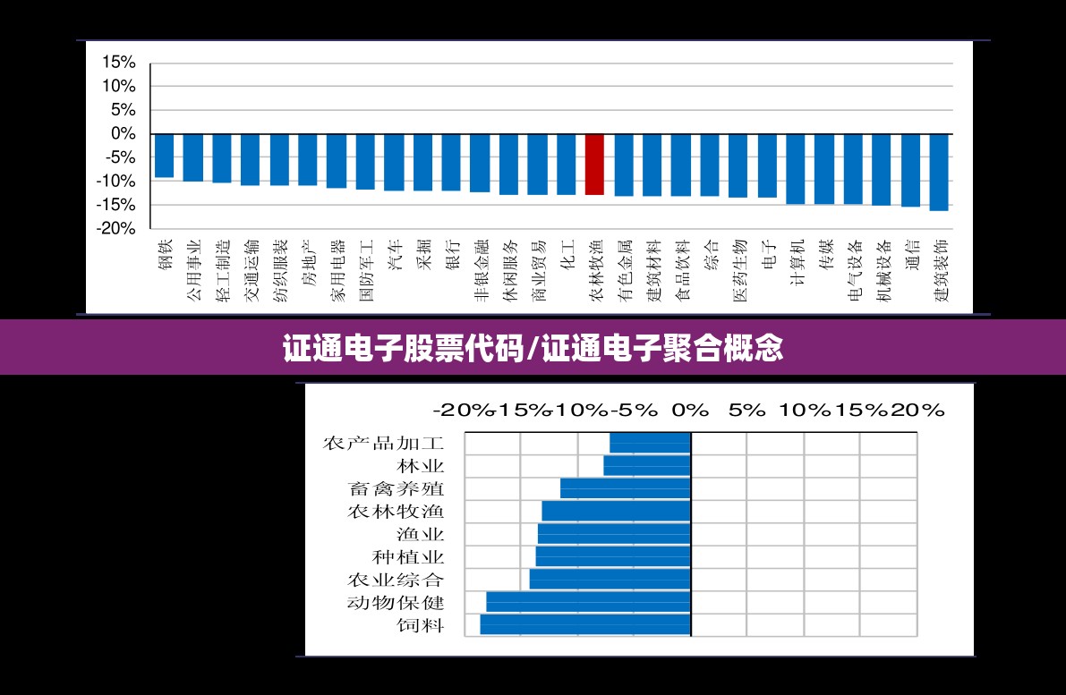 证通电子股票代码/证通电子聚合概念