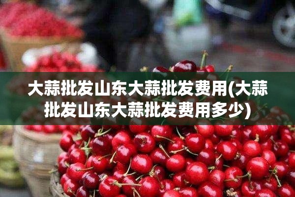 大蒜批发山东大蒜批发费用(大蒜批发山东大蒜批发费用多少)