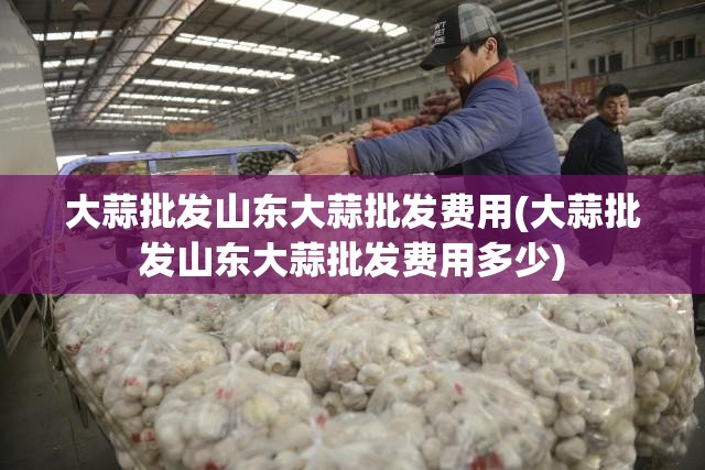 大蒜批发山东大蒜批发费用(大蒜批发山东大蒜批发费用多少)