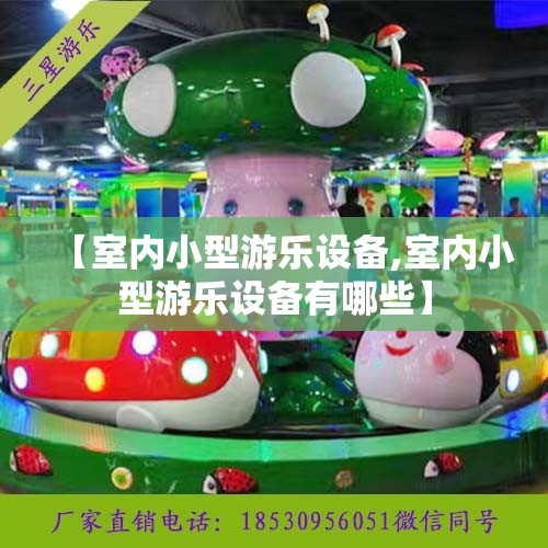 【室内小型游乐设备,室内小型游乐设备有哪些】