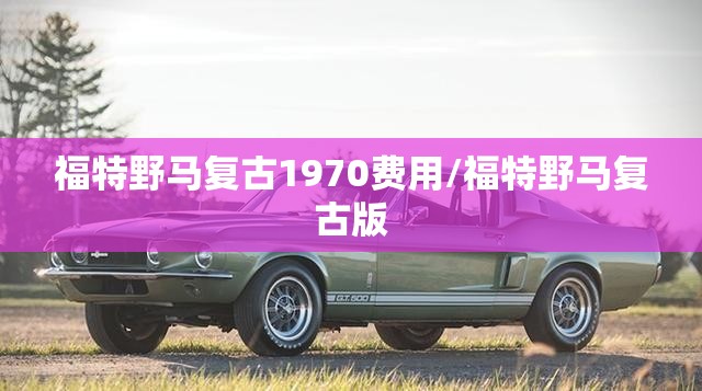 福特野马复古1970费用/福特野马复古版