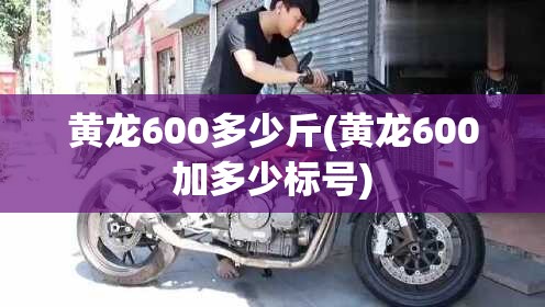 黄龙600多少斤(黄龙600加多少标号) 黄龙600多少斤(黄龙600加多少标号)
