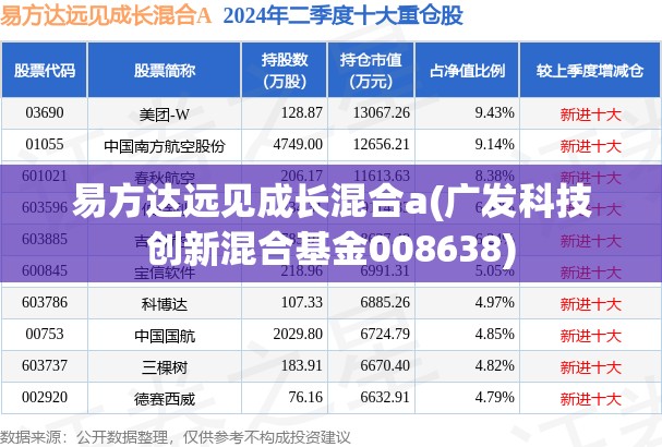 易方达远见成长混合a(广发科技创新混合基金008638)