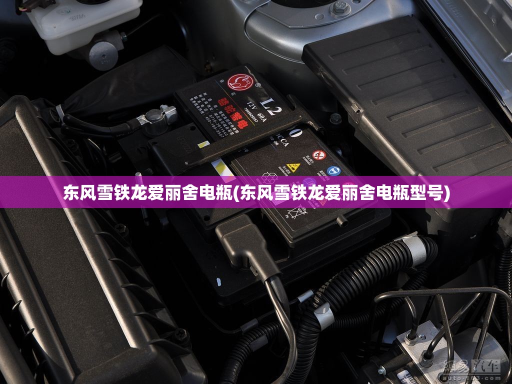 东风雪铁龙爱丽舍电瓶(东风雪铁龙爱丽舍电瓶型号)