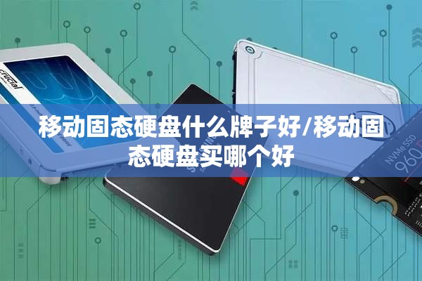 移动固态硬盘什么牌子好/移动固态硬盘买哪个好