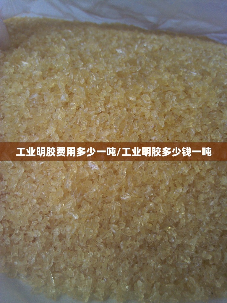 工业明胶费用多少一吨/工业明胶多少钱一吨 工业明胶费用多少一吨/工业明胶多少钱一吨
