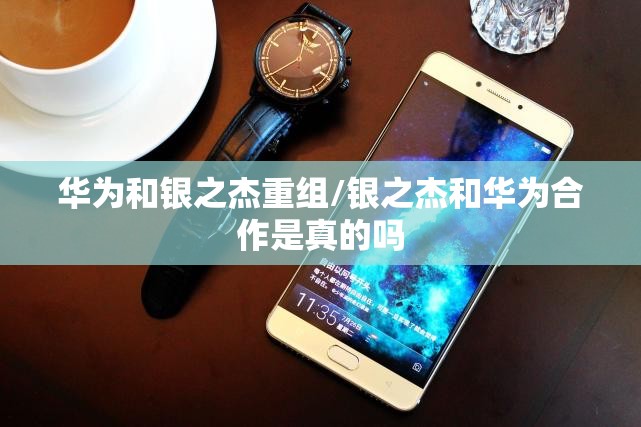 华为和银之杰重组/银之杰和华为合作是真的吗 华为和银之杰重组/银之杰和华为合作是真的吗