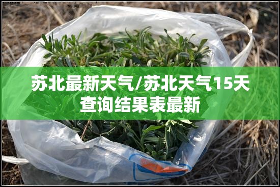 苏北最新天气/苏北天气15天查询结果表最新 苏北最新天气/苏北天气15天查询结果表最新